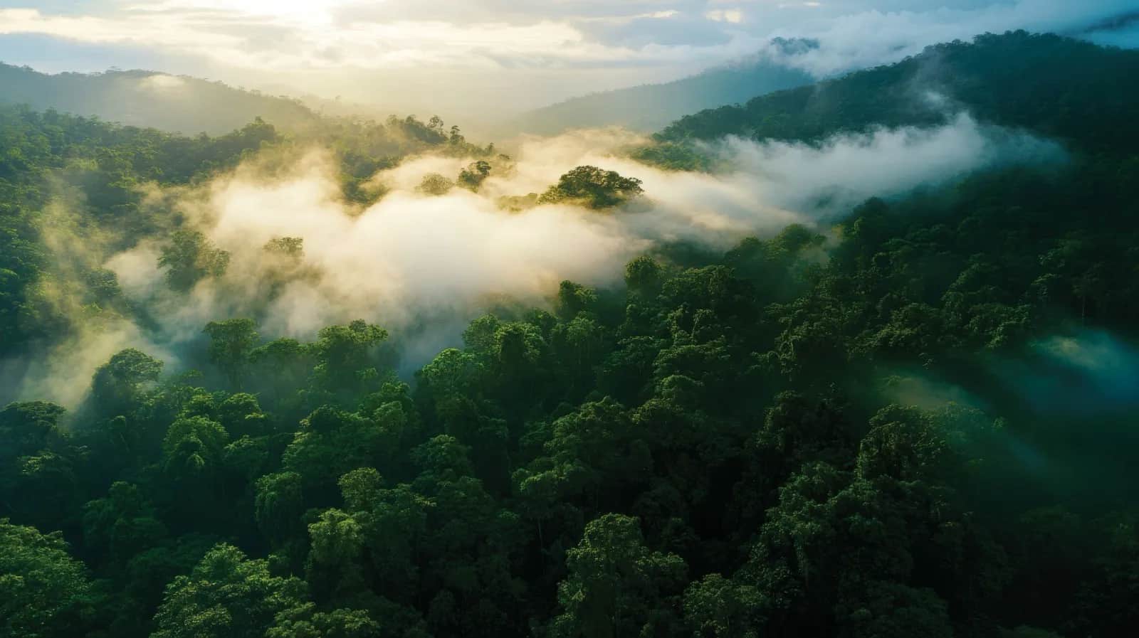 1 BEDROOM APARTMENT FOR SALE IN WESTLANDS, NAIROBI FROM KES 8.74 MILLION 8 1 BEDROOM APARTMENT FOR SALE IN WESTLANDS, NAIROBI FROM KES 8.74 MILLION 8