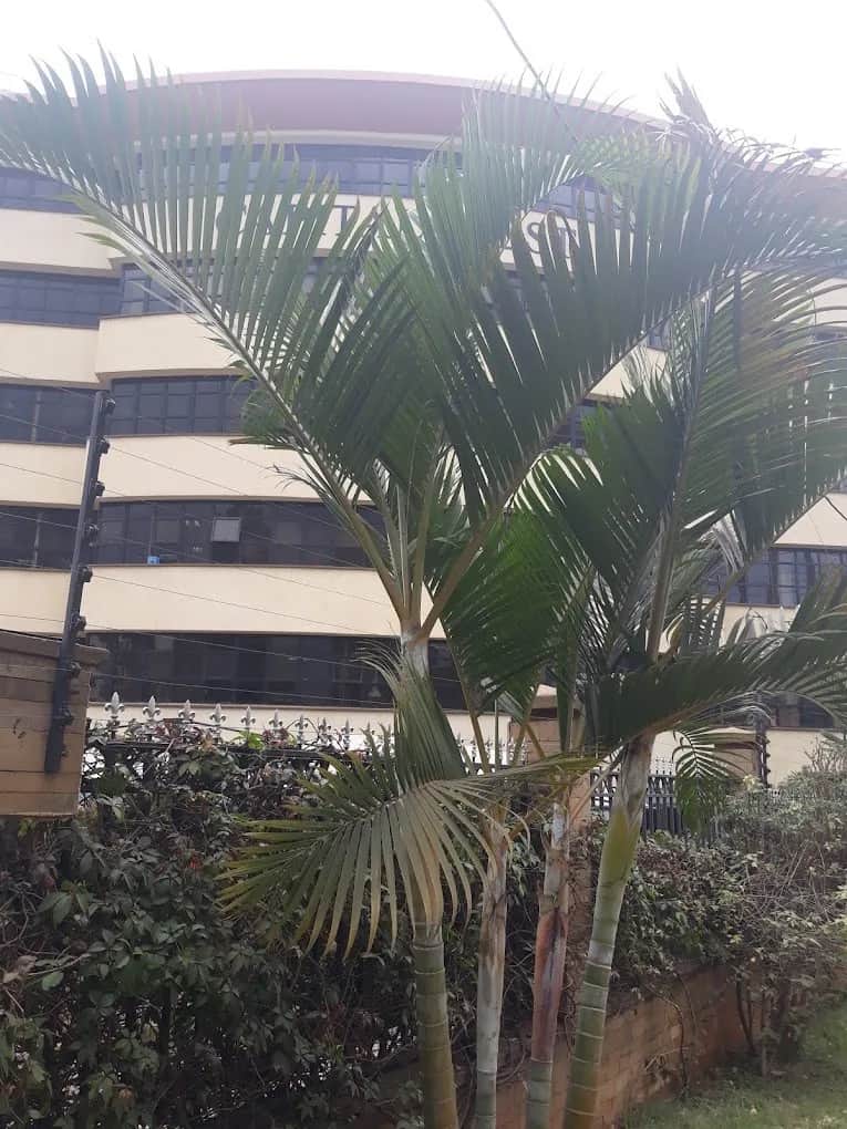 COMMERCIAL OFFICE SPACE TO LET IN WESTLANDS FROM Ksh.302,000 + VAT-0 COMMERCIAL OFFICE SPACE TO LET IN WESTLANDS FROM Ksh.302,000 + VAT-0
